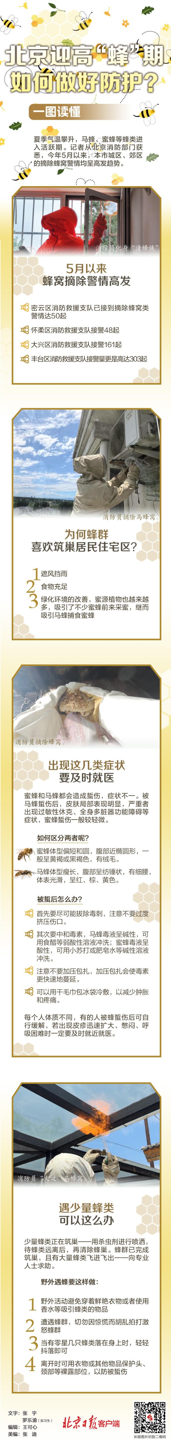 一图读懂 | 北京迎高“蜂”期，若何作念好防备？